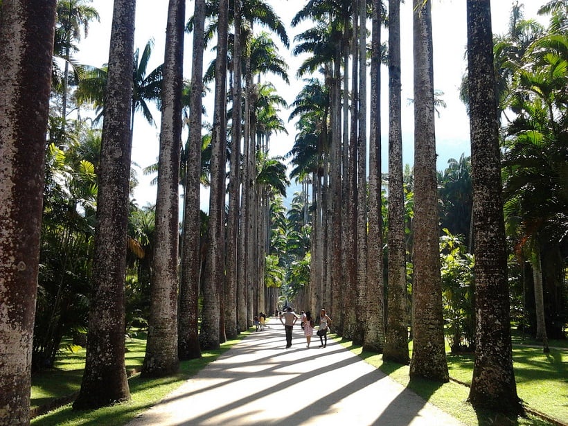 O que fazer no Rio de Janeiro: Jardim Botânico 