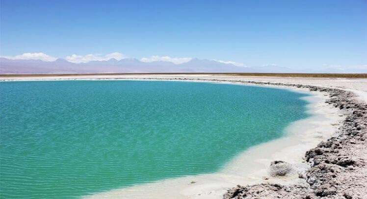 Conhecer Lagunas Cejar em San Pedro de Atacama