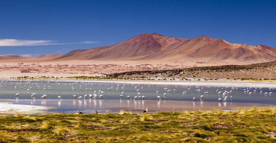 Passear por Salar de Tara em San Pedro de Atacama
