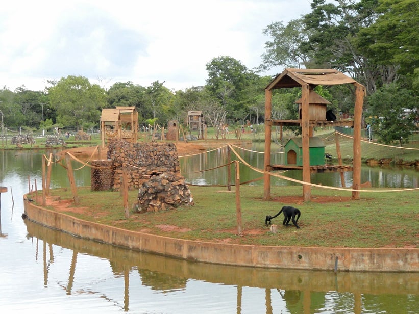 O que fazer em Brasília: Jardim Zoológico