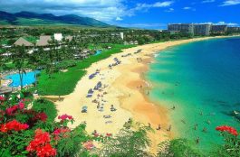 O Que Fazer Em Maui no Havaí