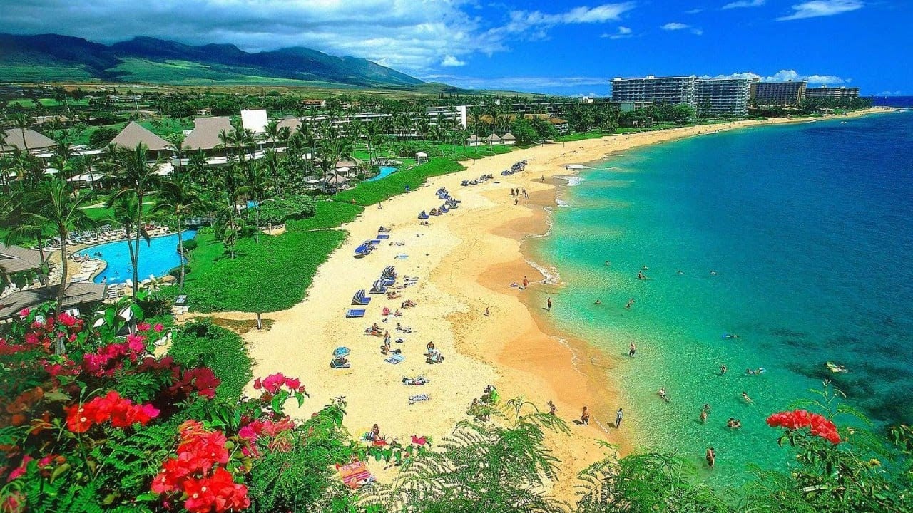 O Que Fazer Em Maui no Havaí