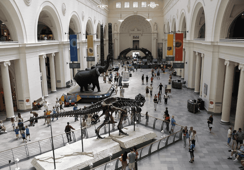 O que fazer em Chicago: Museus em Chicago