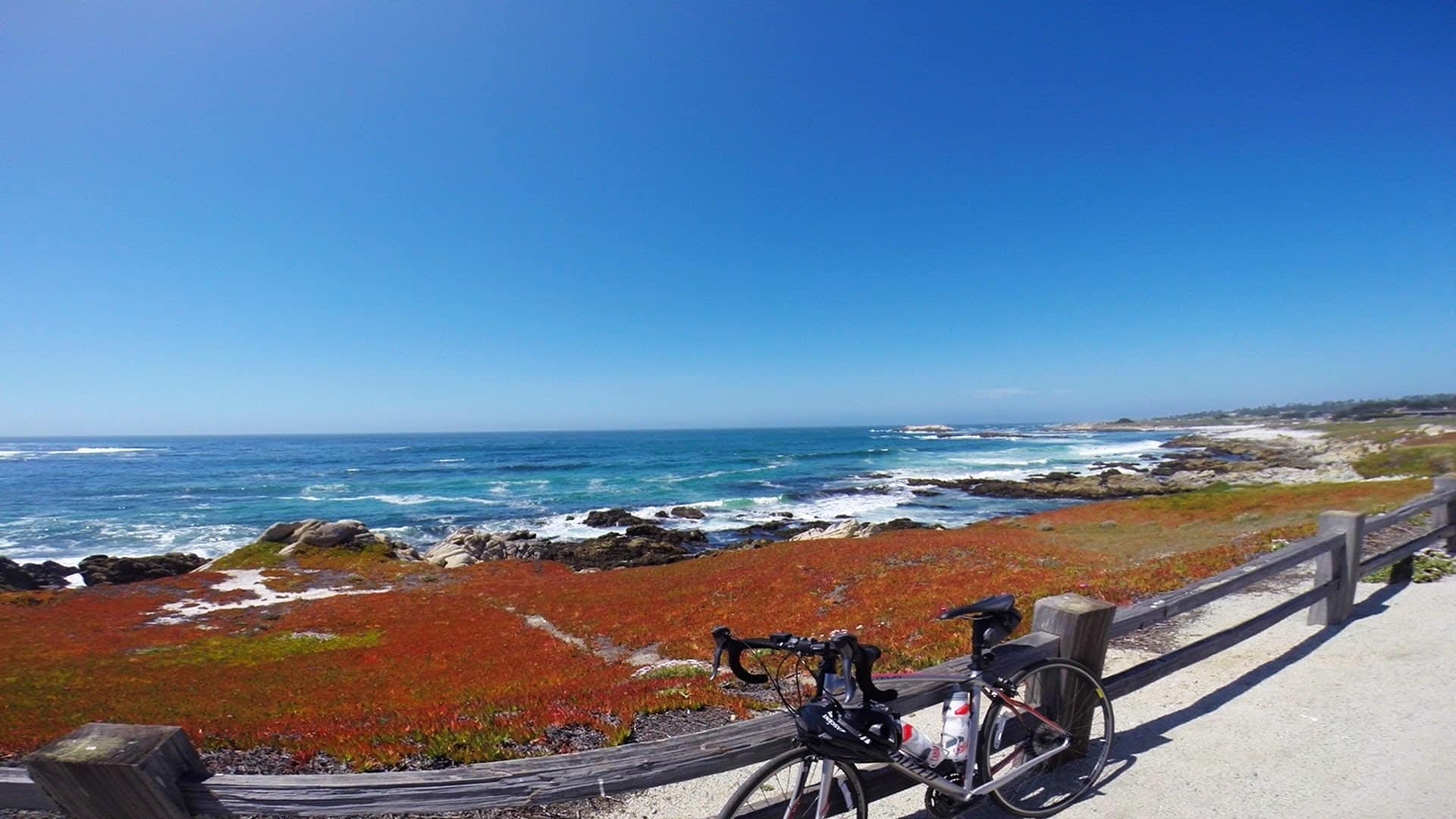 O Que Fazer em Monterey: Tour de Bicicleta