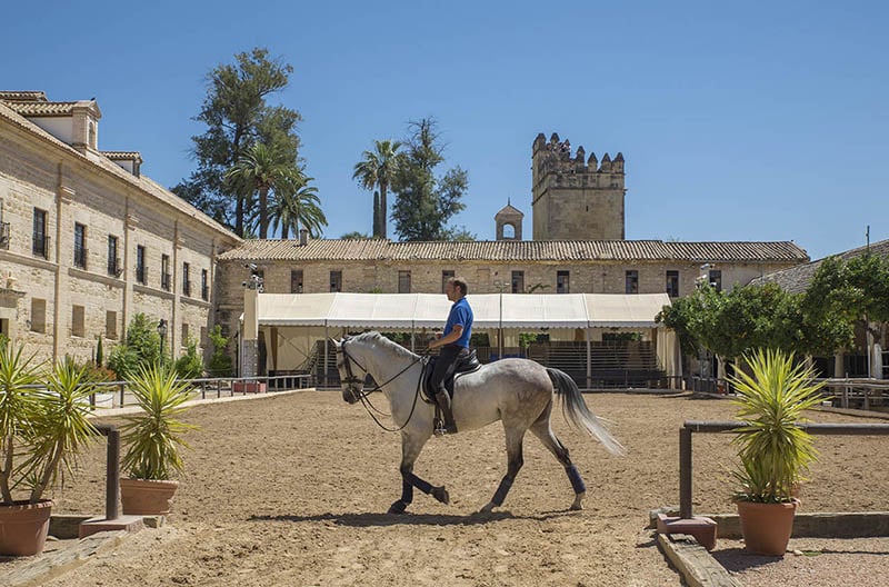 O que fazer em Córdoba: Cavalerias