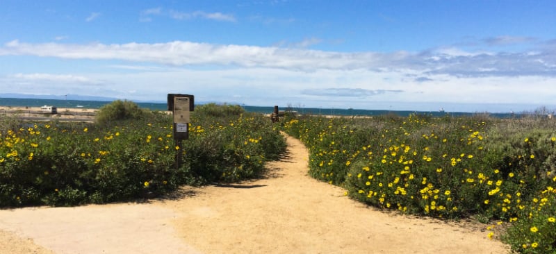 O Que Fazer em Huntington Beach: Reserva Ecológica Bolsa Chica