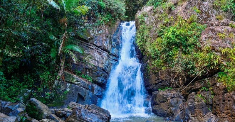 O Que Fazer em San Juan: El Yunque National Forest
