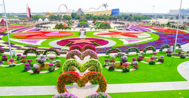 O Que Fazer em Dubai: Miracle Garden