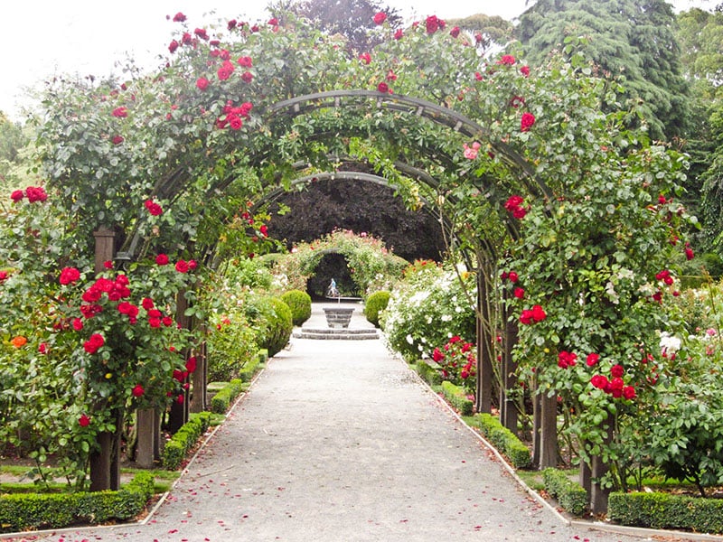 O que fazer em Christchurch: Jardim Botanico