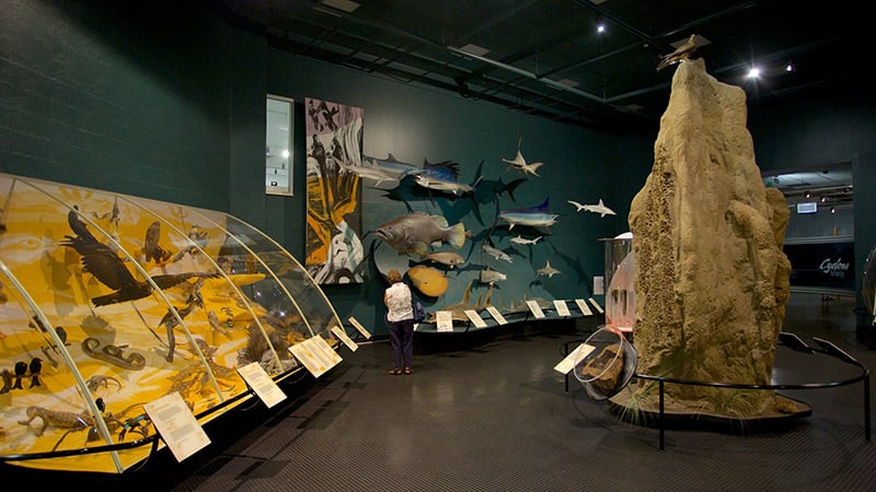 O que fazer em Darwin: Museu e Galeria de Arte do Território do Norte
