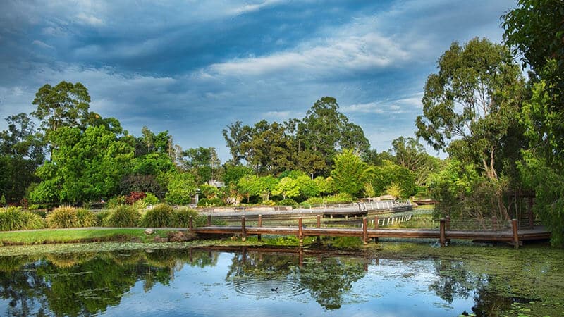 O que fazer em Gold Coast: Jardim Botânico