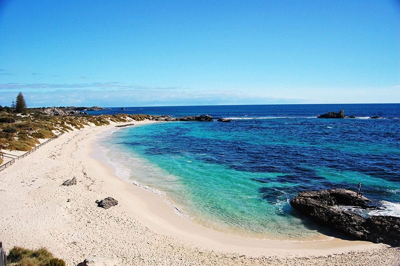 O que fazer em Perth: Ilha Rottnest