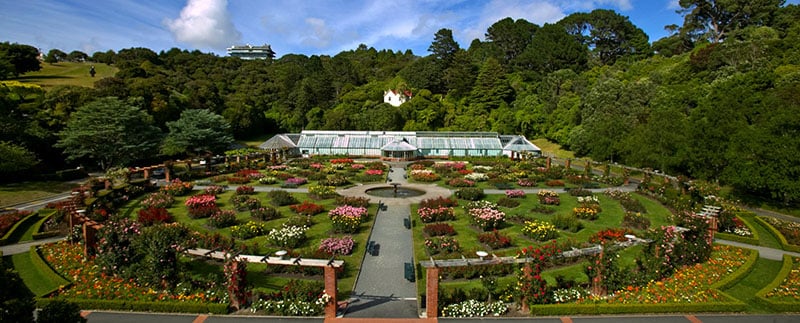 O que fazer em Wellington: Jardim Botânico