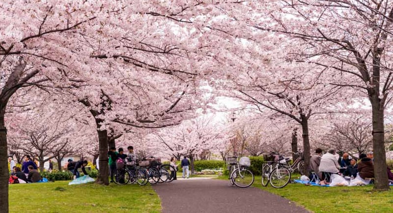 O Que Fazer em Tóquio: Parque Ueno