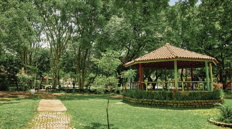 O Que Fazer em Osasco: Parque Chico Mendes